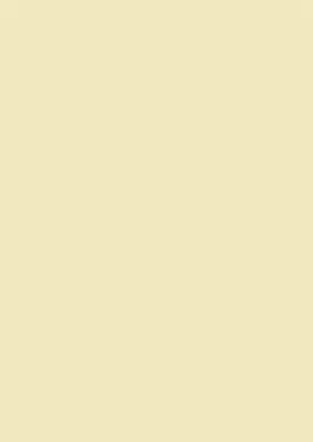 Produktbild von Universalpapier A4 160g chamois VE=5x25 Blatt