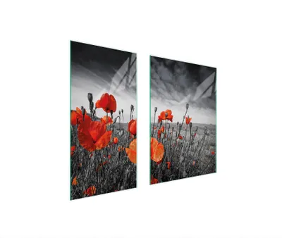 Image de Plaques de recouvrement pour cuisinière 2 pièces 75x52 Couverture de plaque vitrocéramique Planche à découper Coquelicots rouge