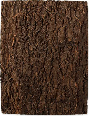 Image de Fond en liège naturel 43,5 x 56 x 2 cm 1 pièce