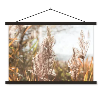 Produktbild von MuchoWow® Textilposter Schilf - Sonne - Pflanze 90x60 cm mit schwarzem Rahmen - Aufhängungssatz