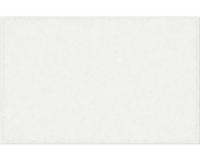 Obrázok produktu pre Koberček do kúpeľne Grund ROMAN 50 x 80 cm biely