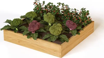 Produktbild von holz4home® Hochbeet Quadratisch 110x110x24 cm I Aus Kieferholz I Fassungsvermögen: ca. 280L I Pflanzkasten Frühbeet Gemüsebeet