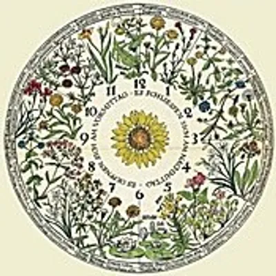 Produktbild von Kartenset Blumenuhr