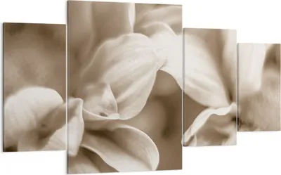 Produktbild von Bild auf Leinwand - Leinwandbild - 4 Teile - Blumen Boho ohne - 160x90cm - Wand Bild - Wanddeko - Wandbilder - Leinwanddruck - Bilder - Wanddekoration - Leinwand bilder - Wandbild - DL160x90-4767