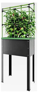 Produktbild von Metall-Hochbeet City Jungle Heidelberg für Innen und Außen mit integriertem Bewässerungssystem und Rankgitter | Pflanzkübel für Gemüse, Kräuter und Blumen | B 62 x T 32 x H 160 cm