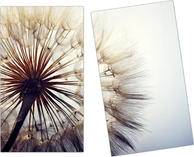 Produktbild von Spritzschutz Herdabdeckplatte Schneidebrett aus Glas Grosser Löwenzahn 2-Teilig (60x52cm)