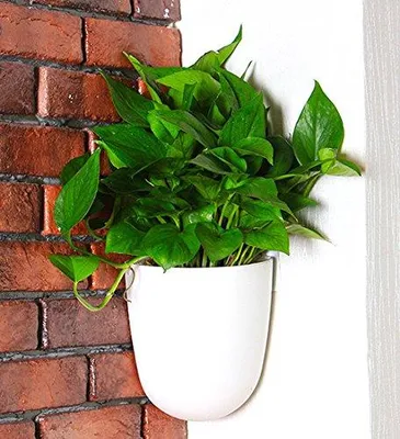 Produktbild von Wandblumentopf selbstbewässernd - Set aus 2 eckigen Kunststoff-Blumentöpfen