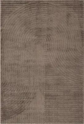 Produktbild von Teppich - 160 x 230 cm - Braun - mit Hoch- und Tiefstruktur