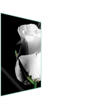 Image de Planche à découper en verre 35x52 Rose