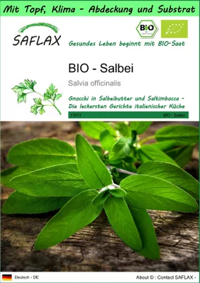 Produktbild von SAFLAX Garden to go - BIO - Salbei - Salvia officinalis - 60 Samen - Mit Topf, Klima - Deckel und Anzuchtsubstrat