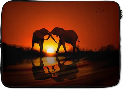 Produktbild von MuchoWow® Laptop Hülle 14 ZollElefantenpaar bei Sonnenuntergang Laptoptasche - Laptoptasche - Stoßsicher - Schutzhaube