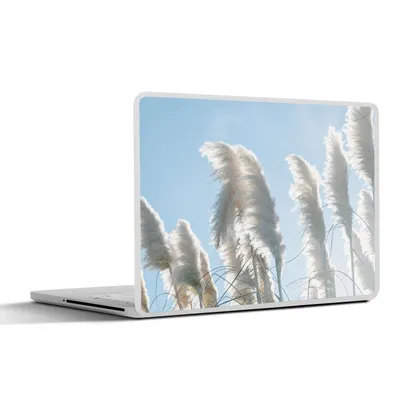 Produktbild von MuchoWow® Laptop Aufkleber Sticker Cover Himmel - Gras - Pampasgras 30x22 cm - Laptop-Sticker