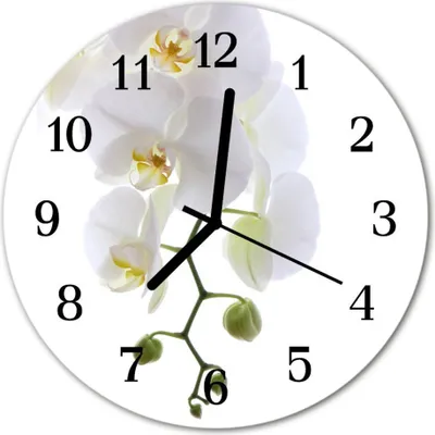 Produktbild von Glasuhr Wanduhr Küchenuhr Echt-Glas 30fi cm Orchidee weiß