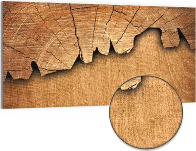 Produktbild von DEQORI Hybrid Leinwand Bild 100x50 cm 'Baumzeitzeugen' Wandbild Glas flach modern