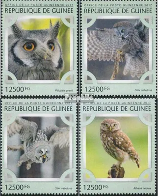 Produktbild von Briefmarken Guinea 2017 Mi 12216-12219 (kompl. Ausgabe) postfrisch Eulen