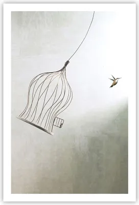 Produktbild von Poster - Poster ohne Rahmen - Flug Vogel Käfig - 61x91,5 cm - Wand Bild - Wanddeko - Wandbilder - Kunstposter - Wandposter - Bilder - Kunstdruck - Wanddekoration - Wandbild - P2XPA61x91-5085