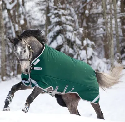 Produktbild von Horseware Rambo Original with Leg Arches Turnout Heavy 400g - Green/Silver, 130