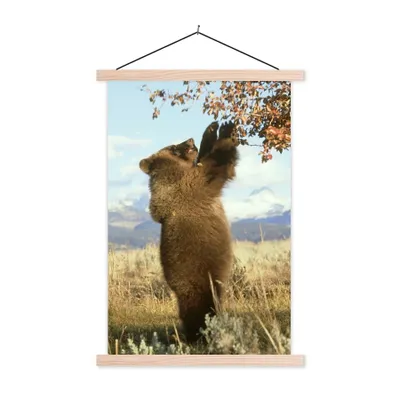 Produktbild von MuchoWow® Textilposter Bär - Laub - Gras 40x60 cm mit holzfarbenen Rahmen - Poster