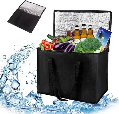Obrázek produktu pro Přenosná chladicí taška na kempování a na pláž – bez napájení – ideální na piknik, do auta nebo na loď – udržuje jídlo a nápoje v chladu – lehká a odolná – s uchem a víkem – perfektní pro outdoorové aktivity a výlety autem