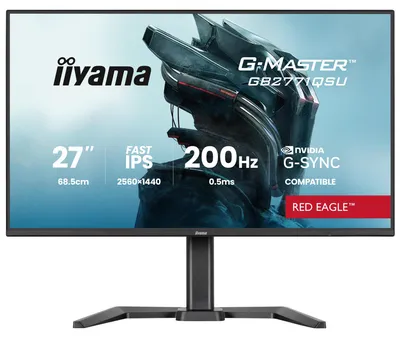 iiyama ProLite XUB2491H-B1 24 | 1920×1080 IPS | 100Hz | Monitor