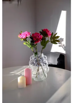 Image de BURI Vase Bubble Transparent Verre Décoration Table Fleurs Plantes Récipient Bouquet