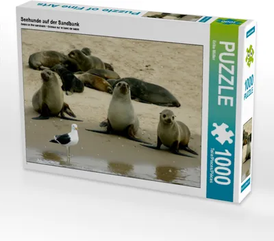 Produktbild von Calvendo Seehunde auf der Sandbank 1000 Teile Puzzle quer 640x480mm, Müller Erika; 7460743