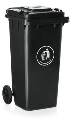 Produktbild von 2x Abfalltonne mit 2 Rollen schwarz 120 l