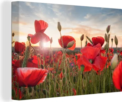 Produktbild von OneMillionCanvasses® - Leinwandbilder - 140x90 cm, Sonnenuntergang hinter den schönen Mohnblumen, Wandbilder Kunstdruck Wanddekoration - Foto auf Leinwand - Gemälde auf Holzrahmen