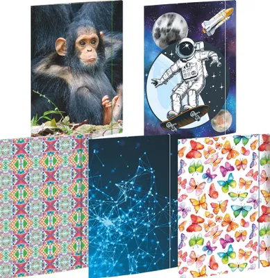 Obrázok produktu pre RNK 46110 Zakladač na výkresy - A4, 3 chlopne s elastickou šnúrkou, kartón, 12 kusov, rôzny sortiment