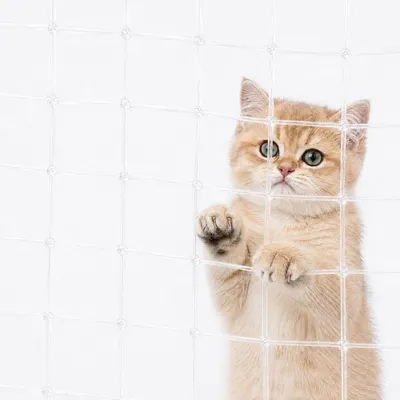 Produktbild von Katzennetz Balkon 4 x 3 m, weiß, inklusive Montagematerial, für Katzen