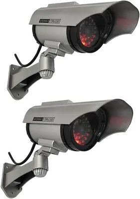 Immagine prodotto di Due telecamere di sicurezza a LED per la sorveglianza domestica con funzione lampeggiante, colore argento, confezione da 2 pezzi