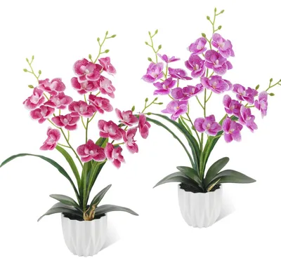 Image de Ensemble de 2 orchidées artificielles en pot, idéal pour la décoration