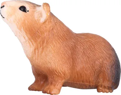 Produktbild von Meerschweinchen-Modell, hochsimuliertes Tier, für Kinder, kognitives Spielzeug, Desktop-Dekoration