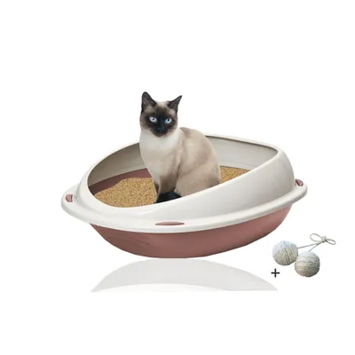 A Siamese cat sits in a modern, oval-shaped litter box with a high rim. Two balls of twine are placed next to the litter box.
