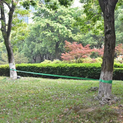 Produktbild von vidaXL Slackline 15 m x 50 mm 150 kg Grün