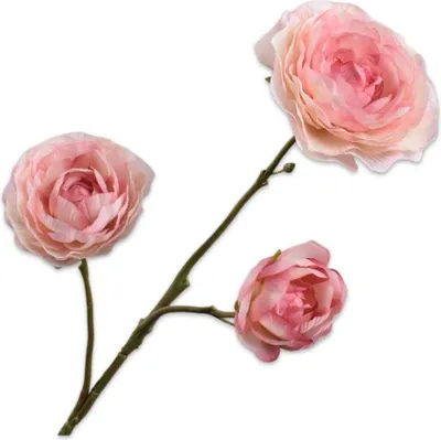 Produktbild von Silk-ka Kunstblume - Seidenblume Ranunkelnzweig rosa 46 cm