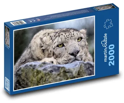Produktbild von Puzzle 2000 Ruhender Schneeleopard - martinpuzzle