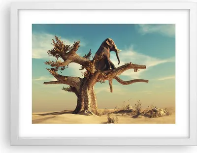 Produktbild von Gerahmtes Poster - Weißer Rahmen - Sitzen Elefant Baum - 40x30 cm - Wand Bild - Wanddeko - Wandbilder - Kunstposter - Wandposter - Bilderrahmen - Bilder - Kunstdruck - Wandbild - P2WAA40x30-4345