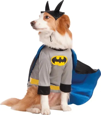 Produktbild von Batman Haustier Kostüm Größe XXL