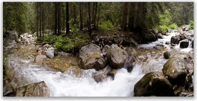 Produktbild von Tulup Leinwand-Bilder 120x60 Wandbild Canvas Kunstdruck Wald Bach Steine Natur