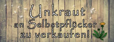 Produktbild von vianmo Holzschild 10x27 cm Unkraut an Selbstpflücker Warnschild Hinweisschild