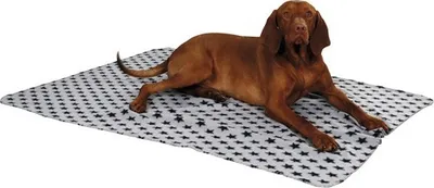 Image de Kerbl Hundedecke Stella (mit Sternenmotiv, L x B 140 x 100 cm) 81301