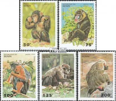Produktbild von Briefmarken Benin 1995 Mi 638-642 (kompl.Ausg.) postfrisch Affen