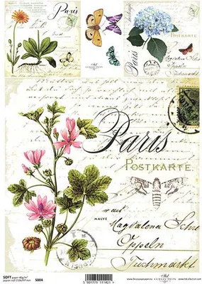Immagine prodotto di Carta decoupage SOFT ITD-S004 - A4 Wildblumen