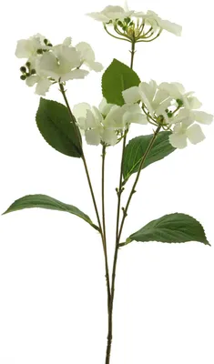 Produktbild von artplants.de Künstliche Blume Hortensie PINNIAN, weiß, 70 cm - Künstliche Blume