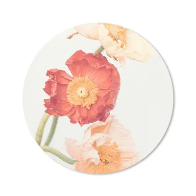 Produktbild von MuchoWow® Mauspad Mousepad Blumen - Rot - Natur - Pflanzen 20x20 cm - Mousepads - Maus Mat - Pad - Mausunterlage - Schreibtischmatte