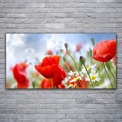 Produktbild von Acrylglasbilder 120x60 Wandbild Druck Mohnblumen Gänseblümchen Pflanzen