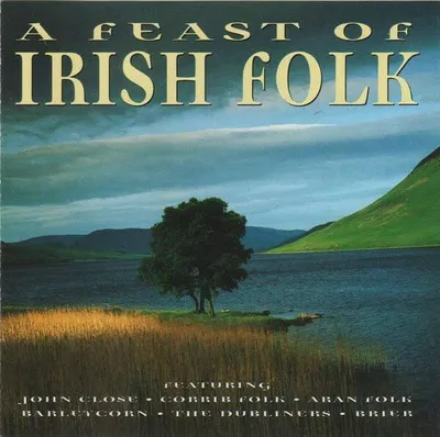 Immagine prodotto di Una festa del folklore irlandese