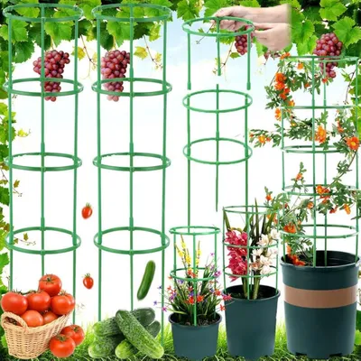 Immagine prodotto di Telaio per pomodori - Supporto regolabile per piante - 100 pezzi - Plastica