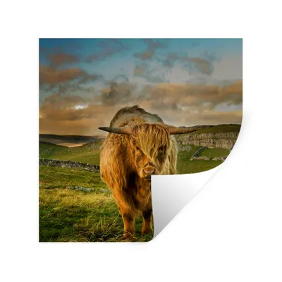 Produktbild von MuchoWow® Wandtattoo Wandsticker Wandaufkleber Schottischer Highlander - Gras - Berg 30x30 cm Selbstklebend und Repositionierbar - Repositionierbar - Wasser abweisend